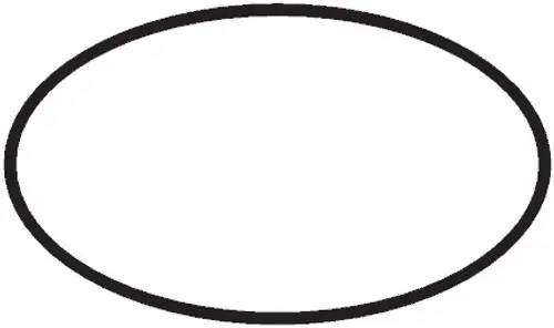 Schwarzer O-Ring auf weißem Hintergrund, passend für Dichtungsanwendungen. Produkt von Hansgrohe, geeignet für verschiedene Installationen.